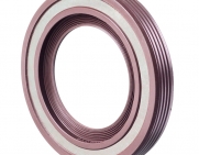 Retentor Especial Carcaça de Aço Inox